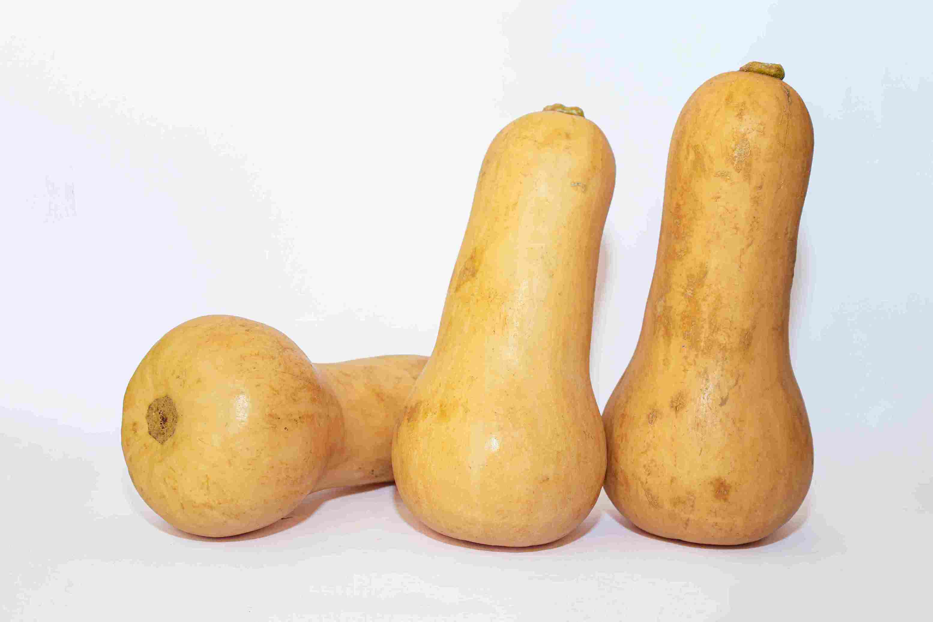 Butternut 