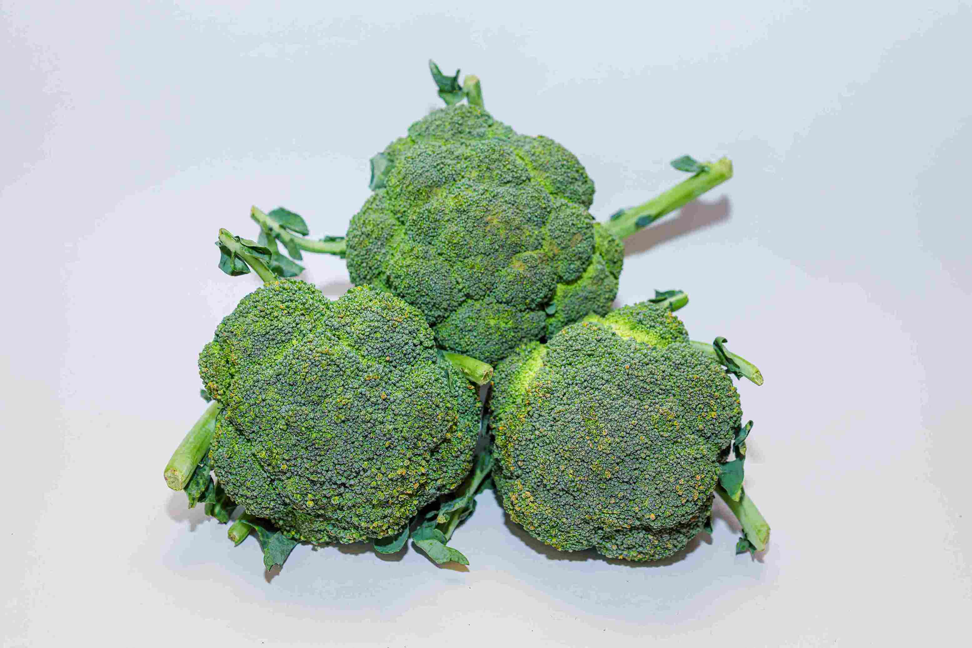 Broccoli