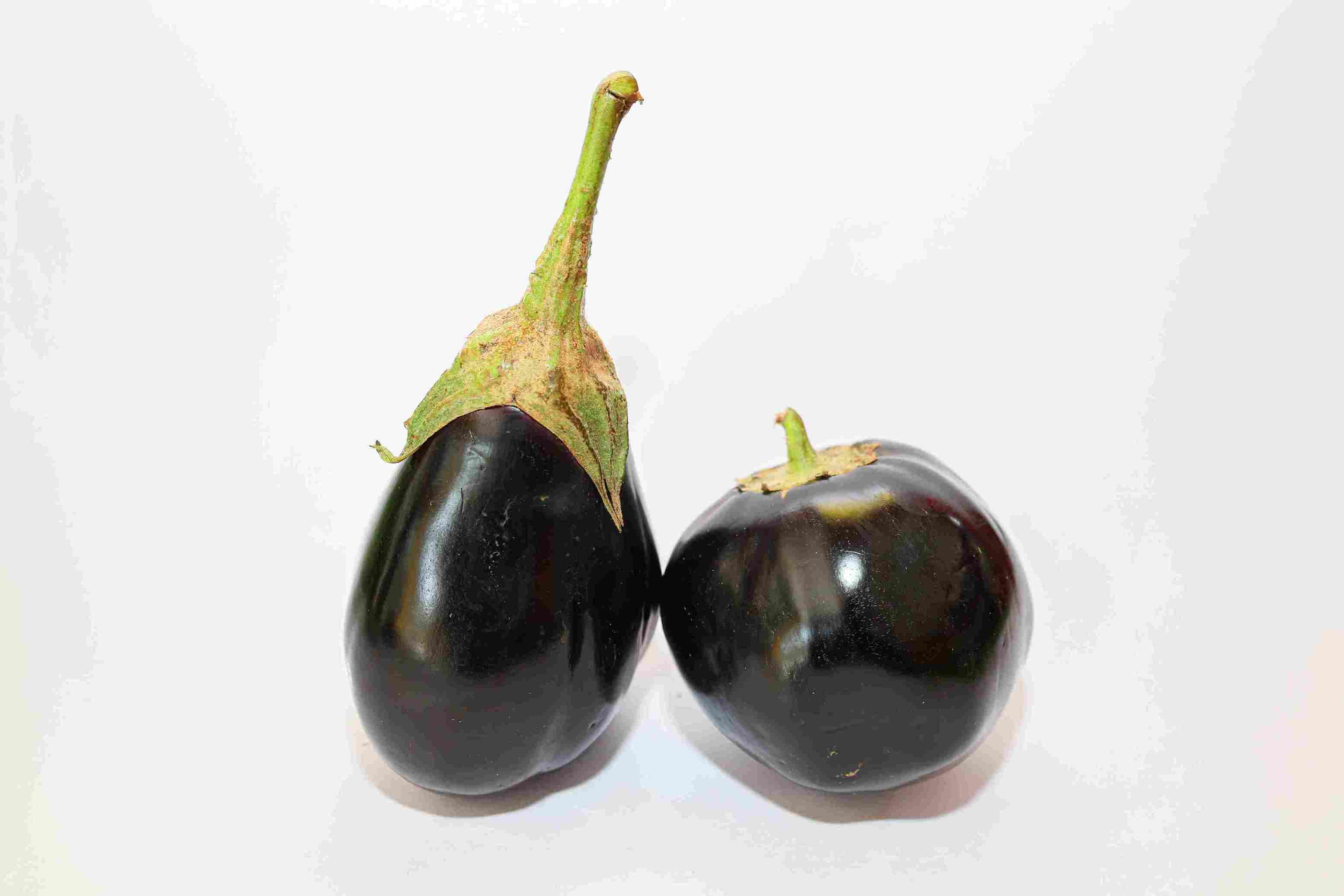 Egg plant