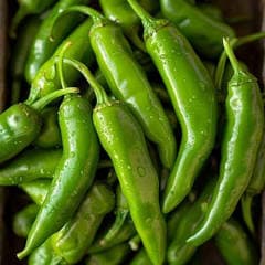 Green chillies