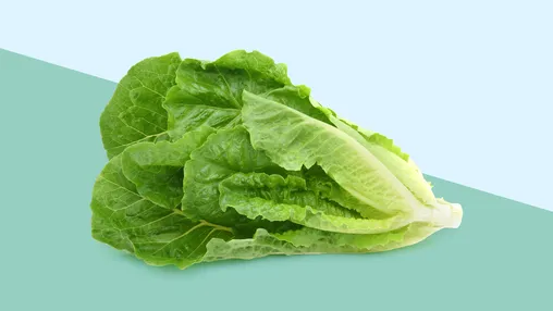 Hard lettuce