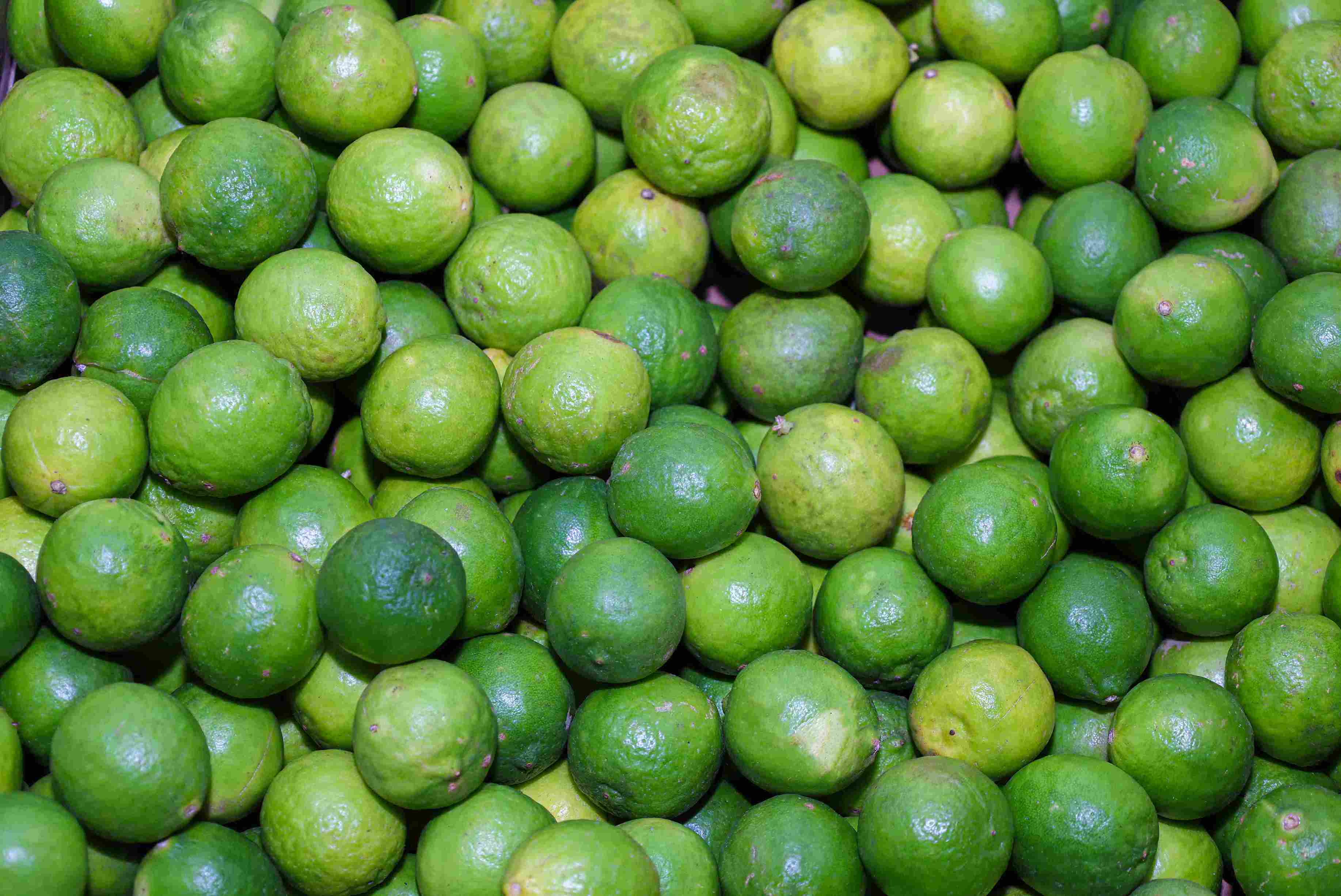 Imported lemons