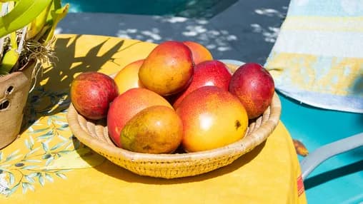 Tommy mangoes