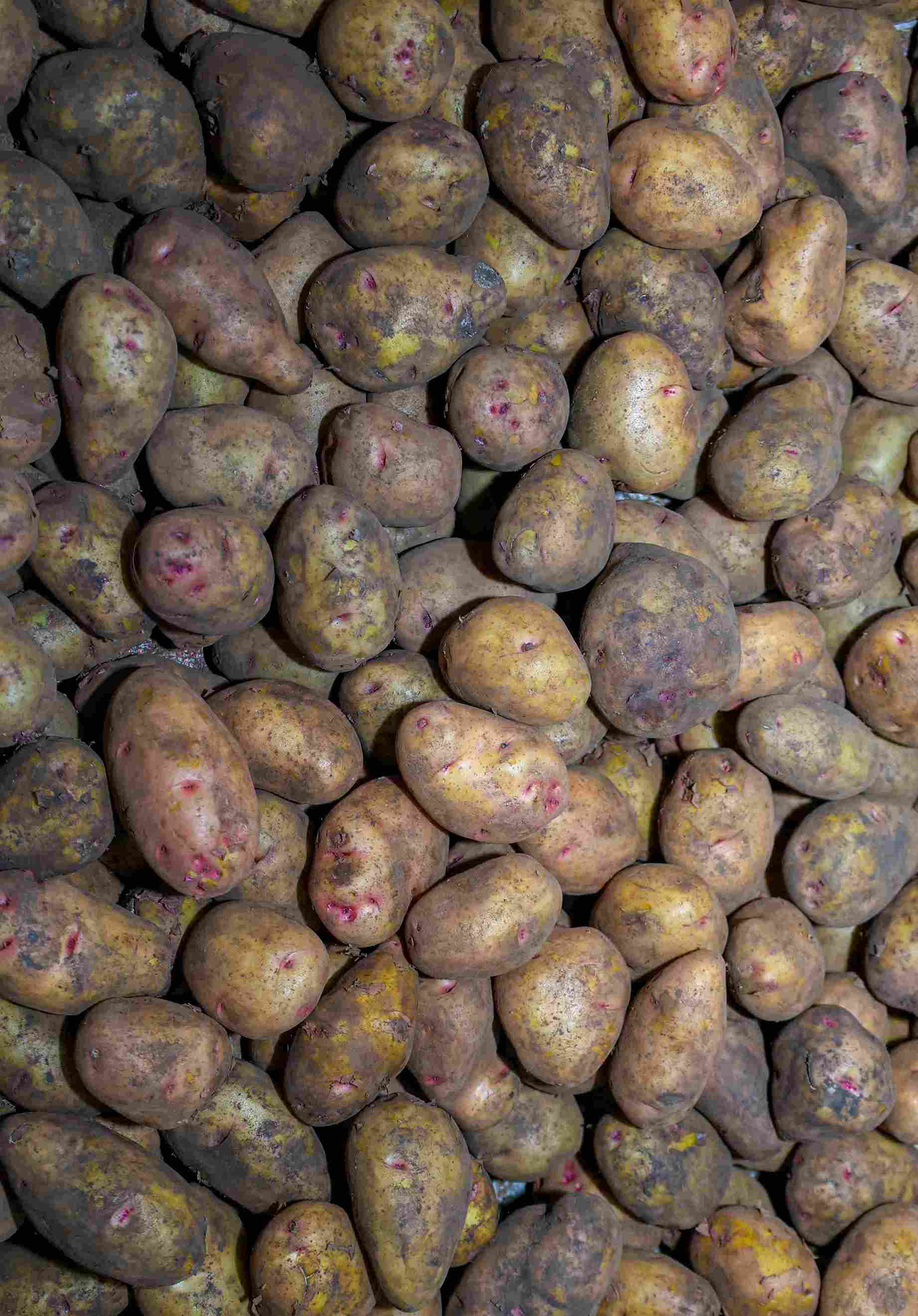 Potatoes