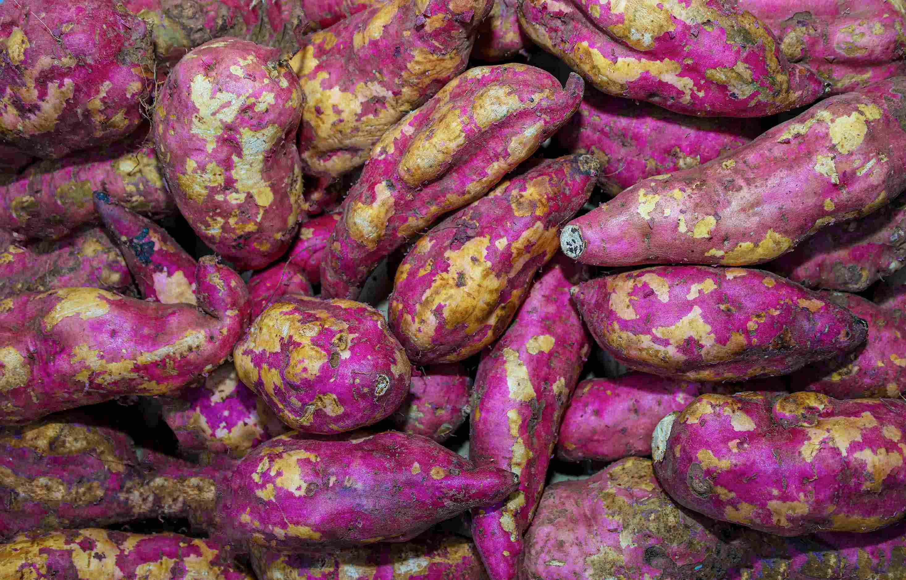 Red sweet potatoes