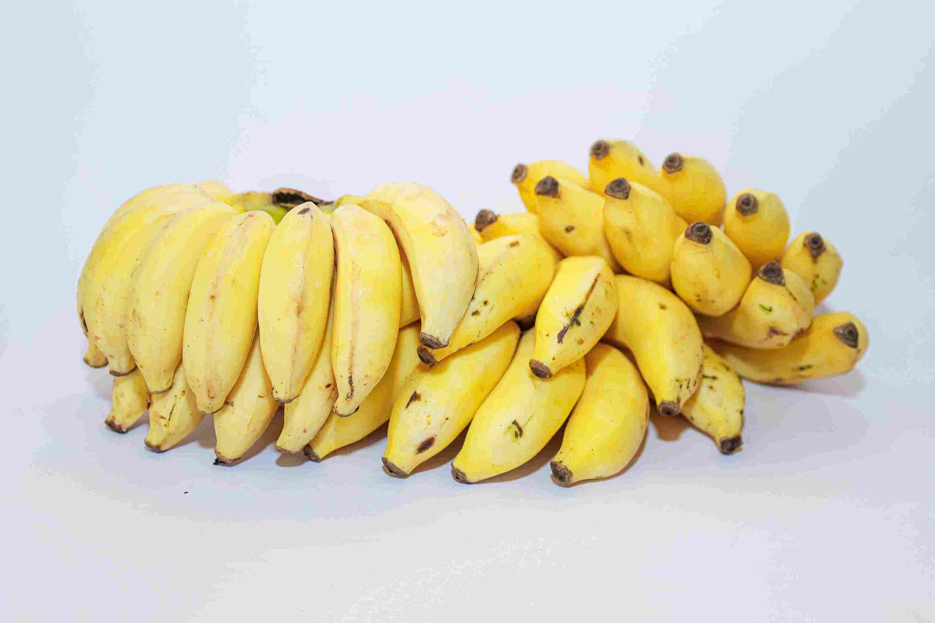 Sweet bananas