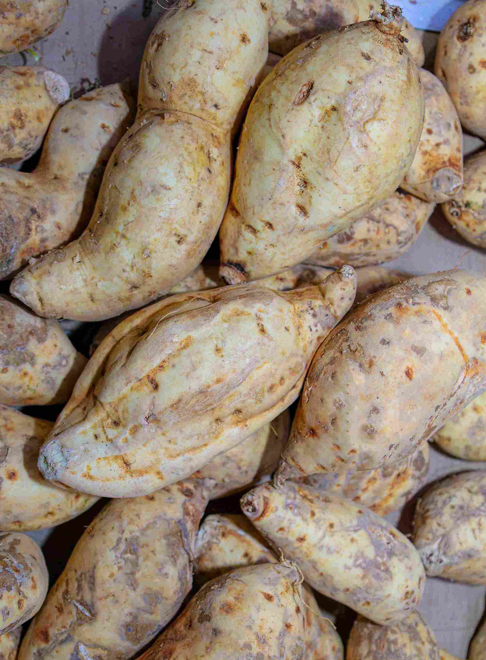 White sweet potatoes